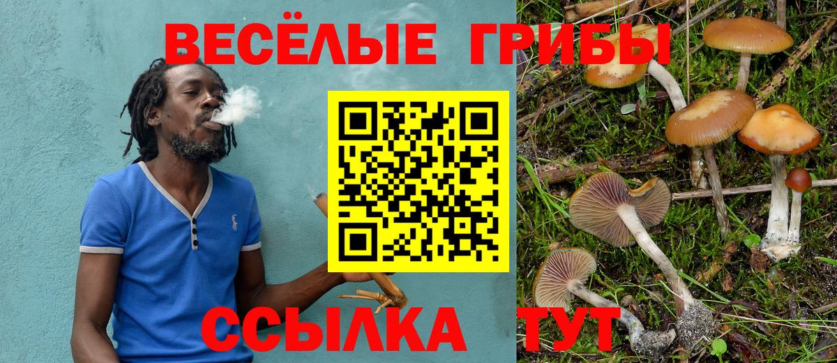 Псилоцибиновые грибы мицелий  Галлюциногенные грибы Magic Shrooms  Вход с VPN  Тобольск 