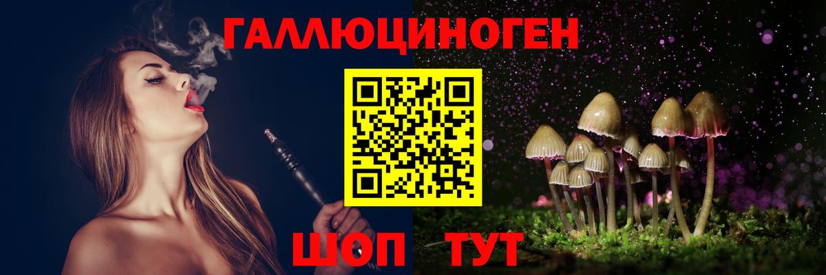 Галлюциногенные грибы Psilocybe Тобольск